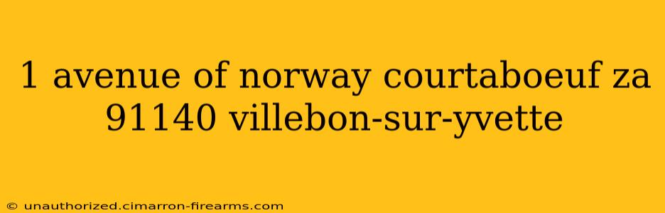 1 avenue of norway courtaboeuf za 91140 villebon-sur-yvette