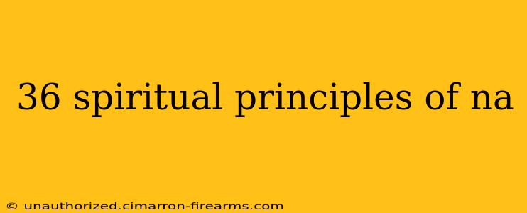 36 spiritual principles of na