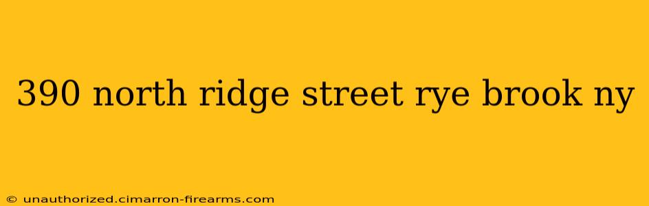 390 north ridge street rye brook ny