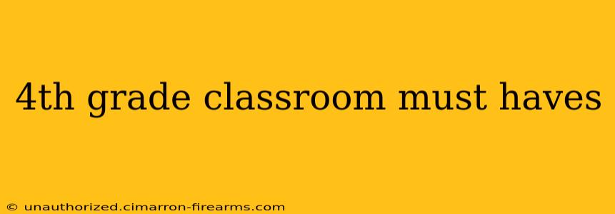 4th grade classroom must haves