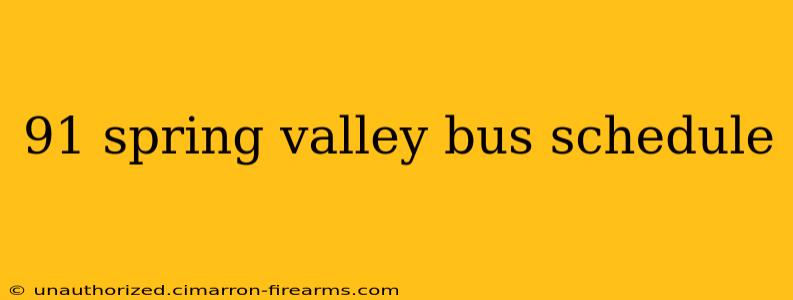 91 spring valley bus schedule