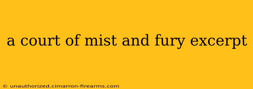 a court of mist and fury excerpt