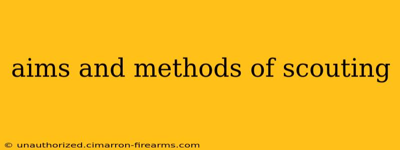 aims and methods of scouting