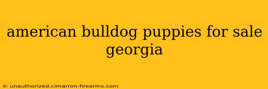 american bulldog puppies for sale georgia