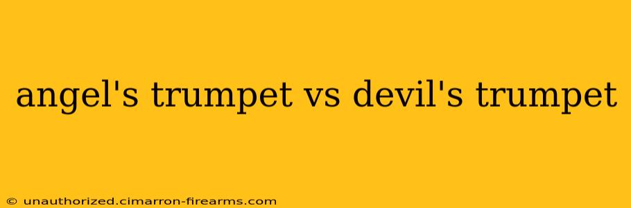 angel's trumpet vs devil's trumpet