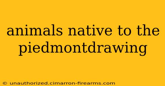 animals native to the piedmontdrawing