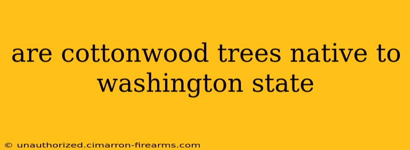 are cottonwood trees native to washington state