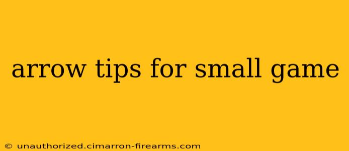 arrow tips for small game