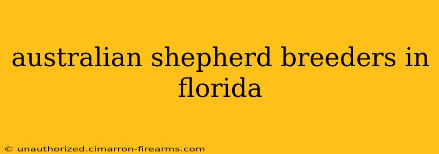 australian shepherd breeders in florida