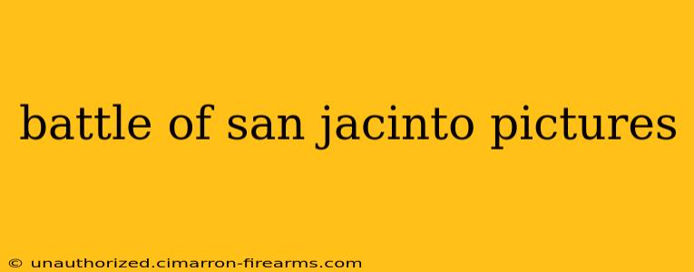 battle of san jacinto pictures