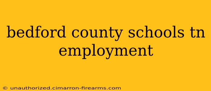 bedford county schools tn employment