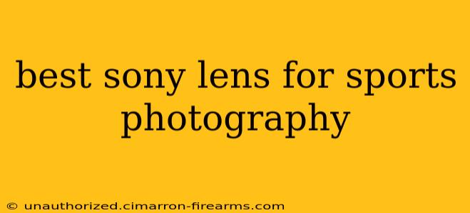 best sony lens for sports photography