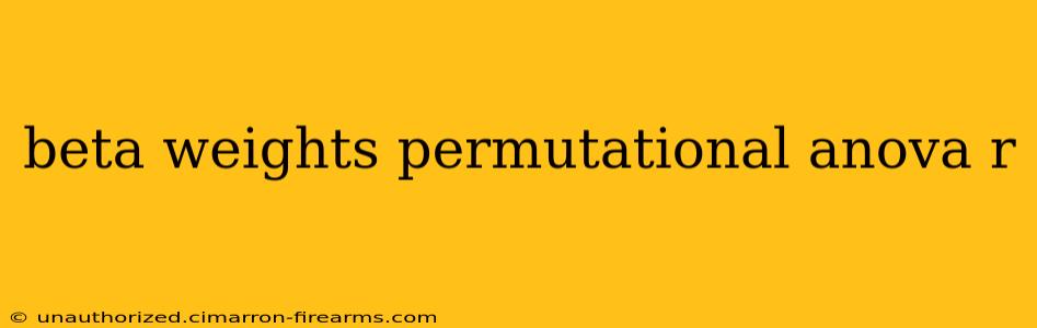 beta weights permutational anova r