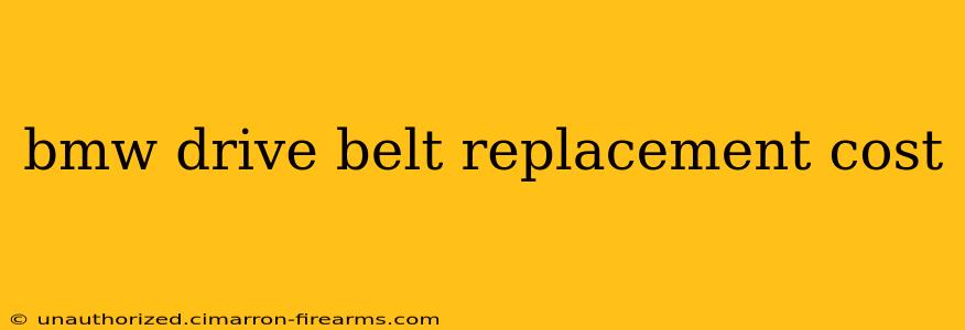 bmw drive belt replacement cost