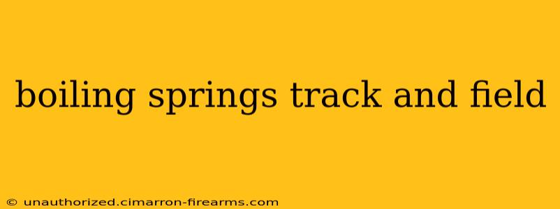 boiling springs track and field