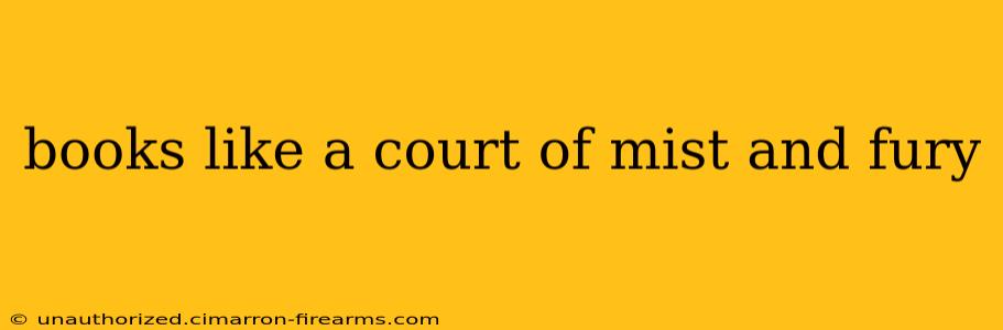 books like a court of mist and fury