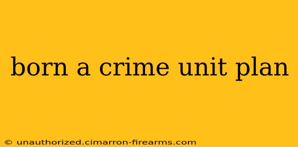 born a crime unit plan