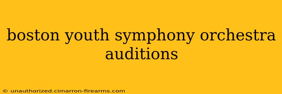 boston youth symphony orchestra auditions