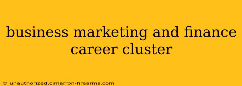 business marketing and finance career cluster