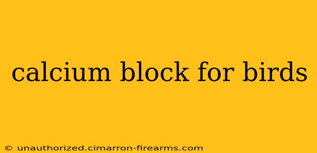 calcium block for birds