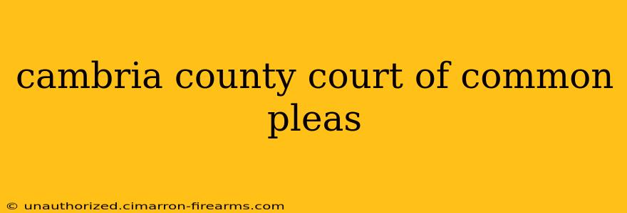 cambria county court of common pleas