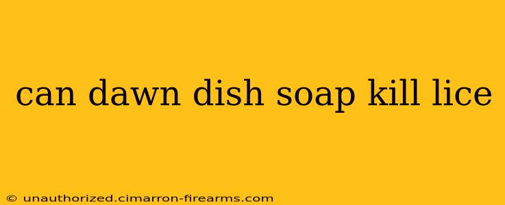 can dawn dish soap kill lice