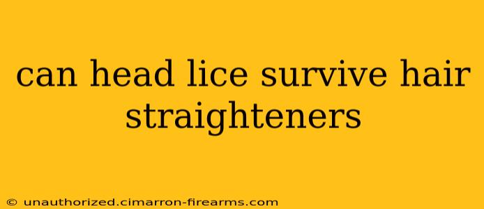 can head lice survive hair straighteners