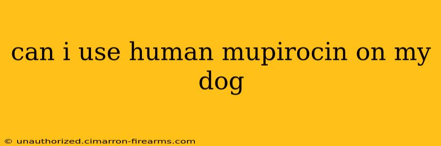 can i use human mupirocin on my dog