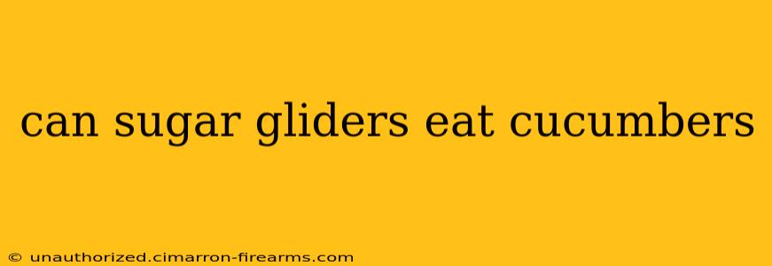 can sugar gliders eat cucumbers