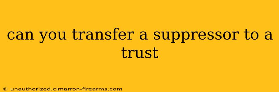 can you transfer a suppressor to a trust