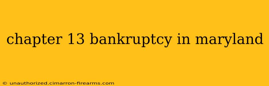 chapter 13 bankruptcy in maryland