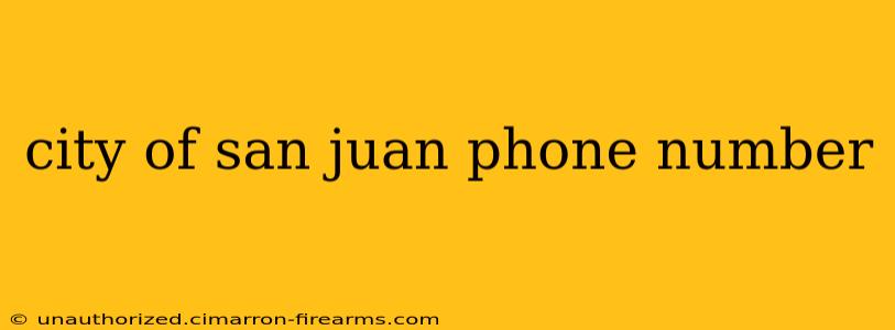 city of san juan phone number