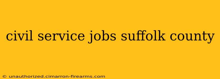 civil service jobs suffolk county