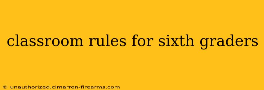 classroom rules for sixth graders