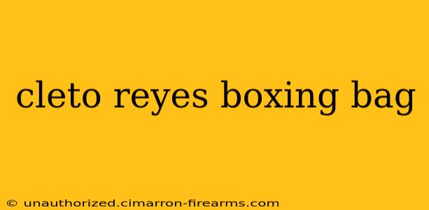 cleto reyes boxing bag