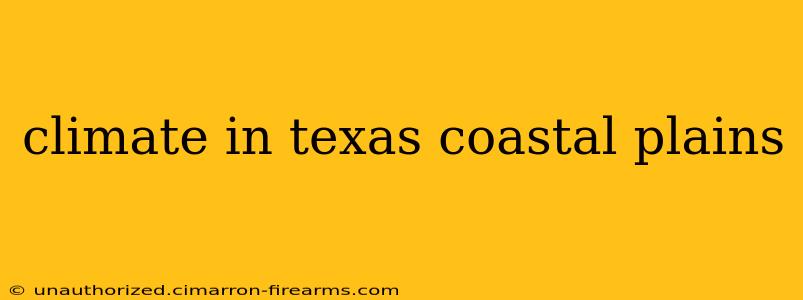 climate in texas coastal plains