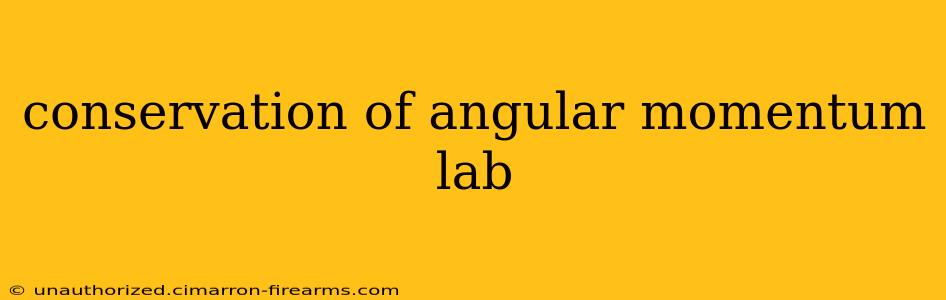 conservation of angular momentum lab