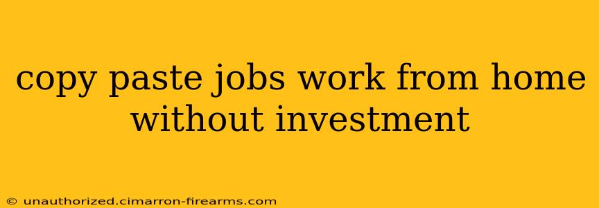 copy paste jobs work from home without investment