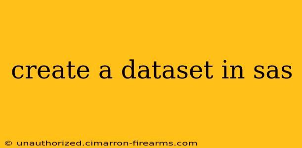 create a dataset in sas