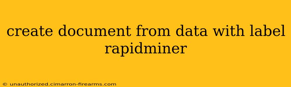 create document from data with label rapidminer