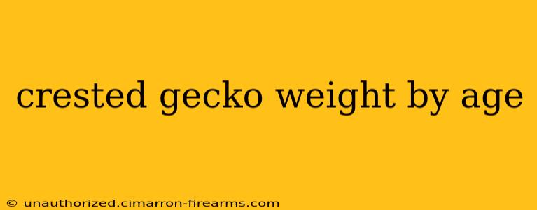 crested gecko weight by age