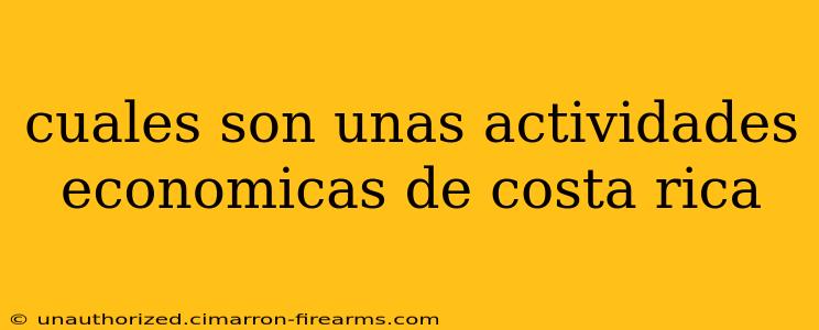 cuales son unas actividades economicas de costa rica