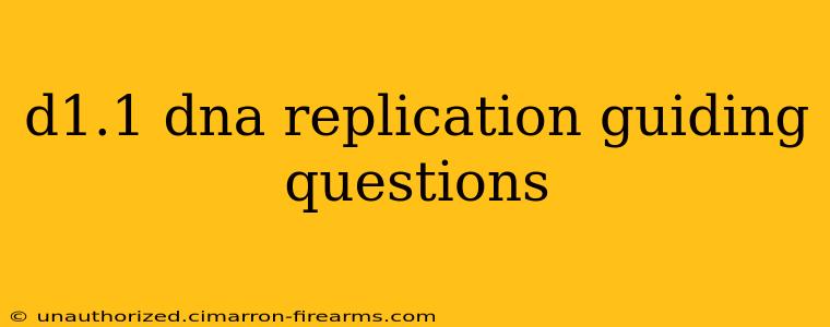 d1.1 dna replication guiding questions