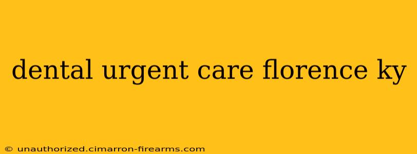 dental urgent care florence ky