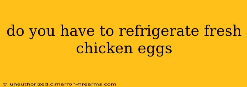 do you have to refrigerate fresh chicken eggs