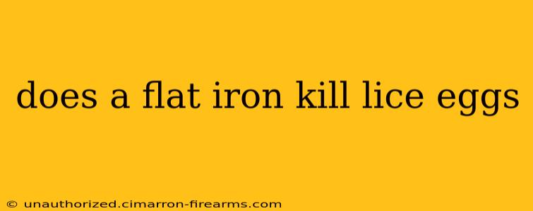 does a flat iron kill lice eggs