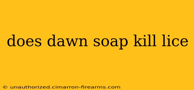 does dawn soap kill lice