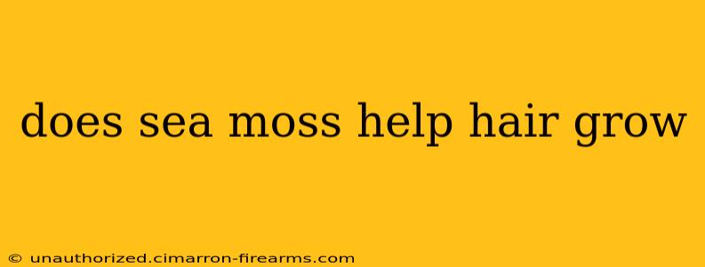 does sea moss help hair grow