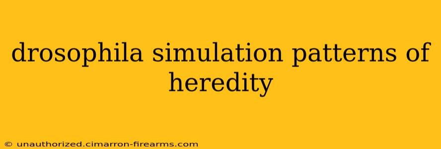 drosophila simulation patterns of heredity