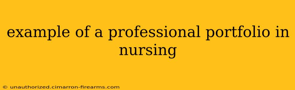 example of a professional portfolio in nursing